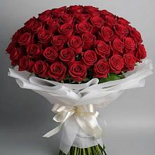 Букет 101 Красная роза Блэк Мэджик в Великом Устюге