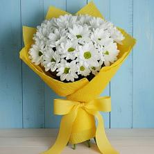 Букет цветов из:  Хризантемы в Великом Устюге