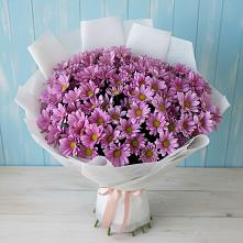 Букет цветов из:  Хризантемы в Великом Устюге