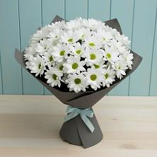 Букет цветов из:  Хризантемы в Великом Устюге