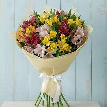 Букет цветов из:  Альстромерии в Великом Устюге