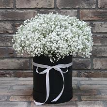 Цветочная композиция из Гипсофила в шляпной коробке #REPLACE_PRED# Великом Устюге