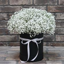 Цветочная композиция из Гипсофила в шляпной коробке в Великом Устюге